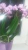 20170814_195011.jpg