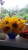 20170828_105612.jpg