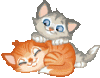 1.gif