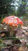 20160917_111907.jpg