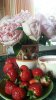 20170710_125355.jpg