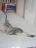DSC04332.JPG