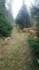 20171006_104239.jpg