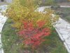 IMG-20171014-WA0004.jpg