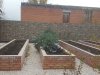 IMG-20171014-WA0003.jpg