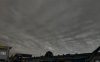 ilm-sugis-sunge-79856588.jpg