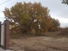 IMG-20171019-WA0001.jpg
