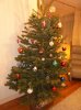 DSC05945.JPG