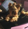 работница Виля.jpg
