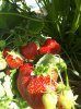 20180629_142705-1382x1843.jpg