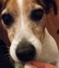 20180718_225300.jpg