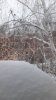 2019-02-16 10.36.57.jpg