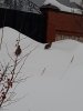 IMG-20190220-WA0000.jpg