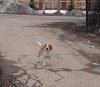 IMG_20190404_190031_132.jpg