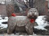 IMG_20190407_011108_632.jpg