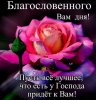 апрель 2019 года 076.jpg