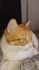 IMG-20190511-WA0000.jpg
