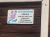 IMG-20190710-WA0000.jpg