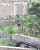 IMG_20190711_095026_575.jpg