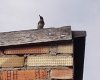 IMG_20190711_095215_962.jpg