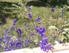 IMG_20190711_095828_005.jpg