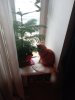 IMG_20190726_130630_931.jpg