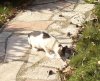 IMG_20190926_135545_480.jpg