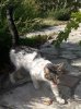 IMG_20190926_135556_971.jpg