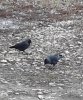 IMG_20191015_162827_769.jpg