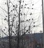 IMG_20191104_112510_971.jpg
