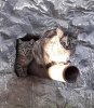 IMG_20191122_105852_818.jpg