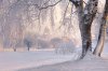^муринский парк_спб_эдуард гордеев.jpg