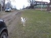 20200419_130539.jpg