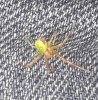 IMG_20200828_231617_766.jpg