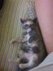 IMG-20200728-WA0006.jpg
