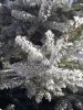 IMG_20201119_111310_867.jpg