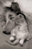 db8d7cd9cb0acf4fc0cd0fe8888ee7bb.jpg