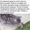 г.png