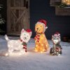^sovold21_Labrador-Westie-Katze.jpg