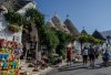 DSC_0983.jpg