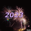 10892859_5b923.gif