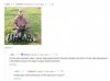 IMG_3271.jpeg