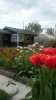 20170524_171201.jpg