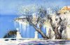 IMG_4405.jpeg