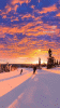 VID_60471027_003727_650_1.gif