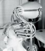 vintagebeauty-09.jpg