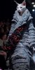IMG_1335.jpeg