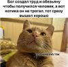 B0388635-C7F4-48B1-8CF8-002B8A823C3C.jpeg