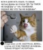 18641D3C-4B6F-43DB-9CD2-CFBE386D6225.jpeg