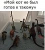 55C5FDB6-548B-42C7-A216-B625475030F8.jpeg